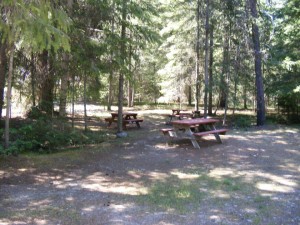 Lemon Creek Pioneer Campground